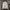 ASTERR Korean Scuba Cream Casual Jacket photo 2