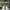 EMPORIO ARMANI SNEAKERS , SHOES , SEPATU , SNEAKERS ITALY , 