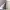 Marni Luxury Casual Going out dress Wanita multicolor photo 4