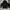 Black Double Zipper