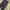 Oakley borderless enliven 5P Pants photo 3