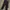 Oakley borderless enliven 5P Pants photo 2