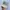  Vintage Distressed Cotton Army Hat Star y2k photo 2