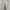 Carhartt Casual Casual pants Pria white photo 3