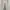 Carhartt Casual Casual pants Pria white photo 2