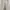 Carhartt Casual Casual Pants Pria White