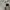 Steve Madden Luxury Goth Handbag Wanita black photo 3