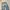 Exit And Denim Blue Wash Patch work Jeans Pants  photo 6