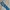 CARHARTT BLUE JEANS TRADITIONAL FIT DENIM B480-DVB MEXICO