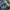 CARHARTT BLUE JEANS TRADITIONAL FIT DENIM B480-DVB MEXICO photo 5