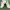 MLB Yankco photo 5