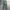 Dickies Work Pants Lincoln Green  photo 4