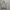 Minimalist Wanita white photo 1