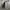 VAPORMAX NIKE RUNNING photo 3