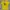 Vintage Y2K T-shirt Pria yellow photo 1