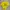 Vintage Y2K T-shirt Pria yellow photo 3
