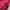 Sweater Uniqlo Cableknit Rajut Pria Raspberry photo 5