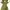 Y2k Abercrombie and Fitch Lime green short sleeve hoodie photo 2