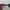Vintage Sunglasses Gucci Original  photo 5