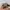 Vintage Sunglasses Gucci Original  photo 3