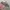 Vintage Sunglasses Gucci Original  photo 2