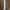 xiaomi smart band 10 pro photo 4