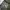 Japanese brand Vintage Casual Fur coat Pria tan photo 6