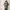 Japanese brand Vintage Casual Fur coat Pria tan photo 5