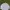 Kemeja Reward 