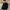 XEROBNR Wool Knited BLCK 
