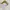 Moricompany Korea Paris Vibes Broken White Sweatshirts Crewn photo 5