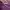 Y2K Coquette Shirt Wanita multicolor purple photo 6
