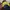 Cap Team Life Boy Big Logo Blue Yellow photo 6