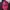 Cap Karimor 5 panels Sportswear hat pink photo 6