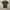 Kaos Supreme Camo Box Logo