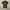 Kaos Supreme Camo Box Logo