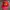 Bass Pro Shops Red Mesh Trucker