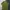 Avant Garde T-shirt Pria green photo 4