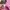 22 OCTOBRE Y2K Coquette Baby Tee Pink Ruffle V Neck Cute Fit photo 9