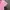 22 OCTOBRE Y2K Coquette Baby Tee Pink Ruffle V Neck Cute Fit photo 5
