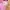 22 OCTOBRE Y2K Coquette Baby Tee Pink Ruffle V Neck Cute Fit photo 6