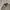 HARINGTON JACKET WOLL VINTAGE photo 2