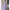 Casual Babydoll dress Wanita purple photo 1