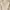 STL long sleeve cream jersey sports wear baju olahraga photo 4