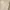 STL long sleeve cream jersey sports wear baju olahraga photo 5