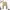 Coquette Cardigan Wanita yellow photo 1