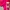 GIRLS LABEL | Shocking Pink Skort | Rok Celana Berwarna Pink