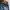 vintage blue blue japan lowrise bootcut denim jeans y2k photo 5