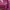 Atasan Pink photo 2
