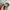 Billabong Distressed Military Cap photo 7